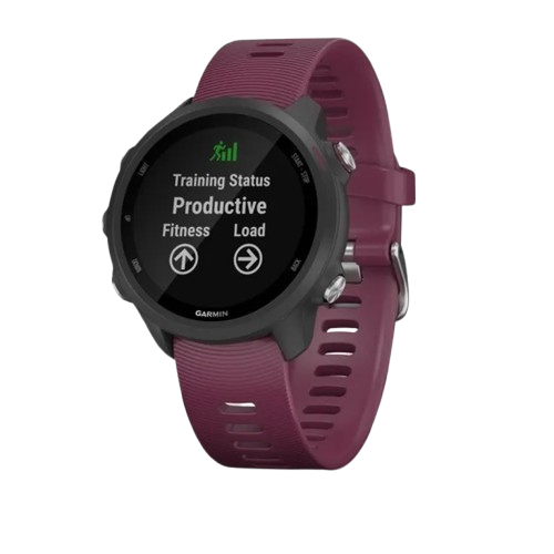 Garmin Forerunner 245