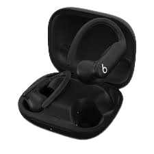 Apple Powerbeats Pro (Used)