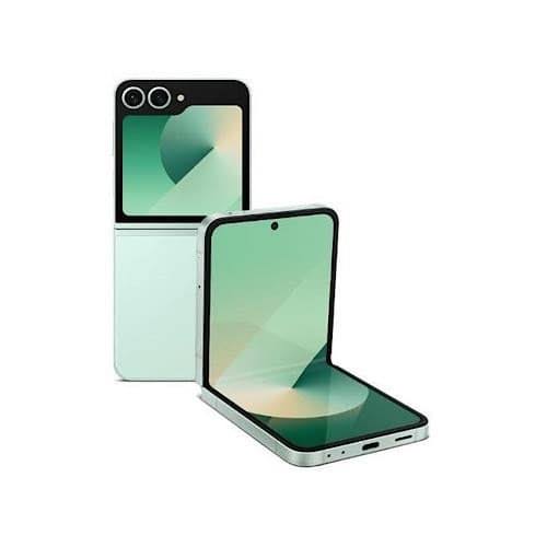 Samsung Flip 6